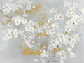 Image Not Available